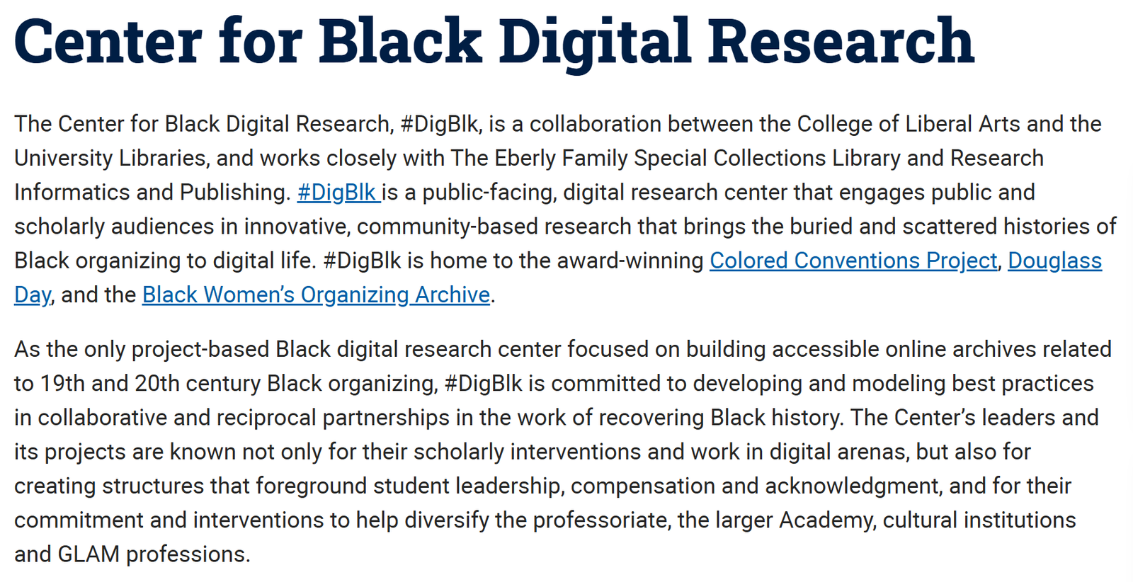 Center for Black Digital Research description